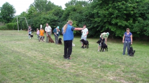 Výcvik útulkových psíkov - každú sobotu o 18:00 hod