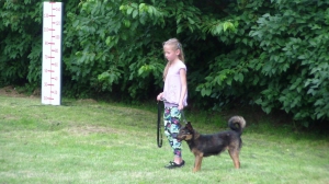 Výcvik útulkových psíkov - každú sobotu o 18:00 hod