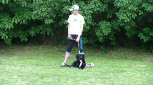 Výcvik útulkových psíkov - každú sobotu o 18:00 hod