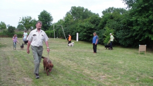 Výcvik útulkových psíkov - každú sobotu o 18:00 hod