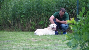 Výcvik útulkových psíkov - každú sobotu o 18:00 hod