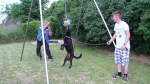 Výcvik útulkových psíkov - každú sobotu o 18:00 hod