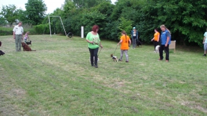 Výcvik útulkových psíkov - každú sobotu o 18:00 hod