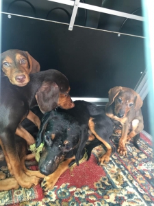 Neodsudzujme ale pomáhajme...