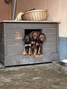 Neodsudzujme ale pomáhajme...