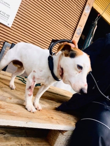 DOHRYZENÁ MERILIN :(