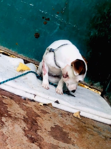 DOHRYZENÁ MERILIN :(