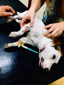 DOHRYZENÁ MERILIN :(