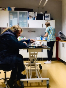 DOHRYZENÁ MERILIN :(