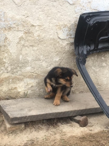 ludskounezodpovednostoupridebuckyolabku