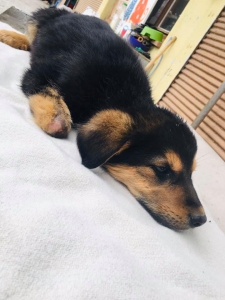 ludskounezodpovednostoupridebuckyolabku