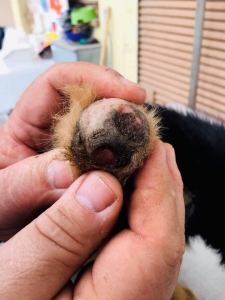 ludskounezodpovednostoupridebuckyolabku