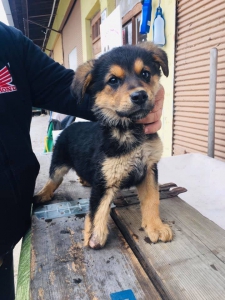 ludskounezodpovednostoupridebuckyolabku