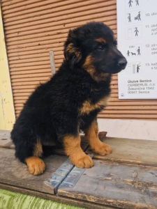 ludskounezodpovednostoupridebuckyolabku