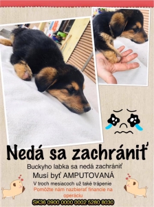 ludskounezodpovednostoupridebuckyolabku