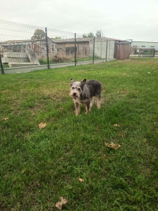 MATILDA